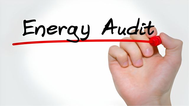 Auditor Energi